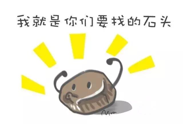 对尿结石有帮助的产品,尿路结石神器