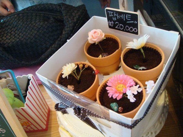 韩国咖啡店vlog,韩国最火咖啡店