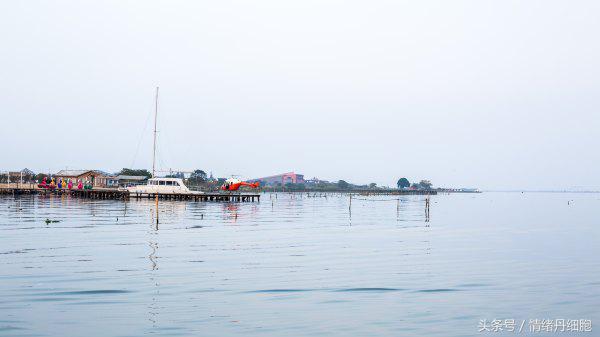 涨知识螃蟹的这几个地方不能吃,吃什么螃蟹不能吃什么