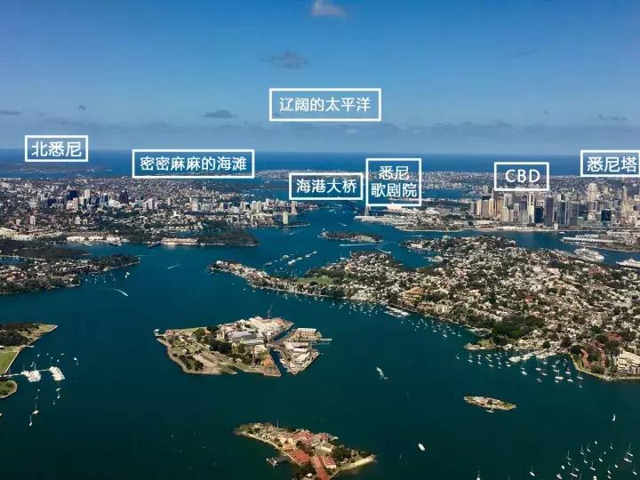 你在悉尼这么浪，你妈知道吗？