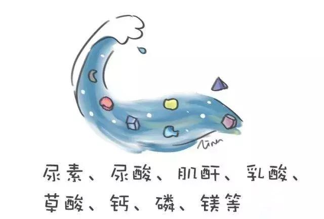 对尿结石有帮助的产品,尿路结石神器