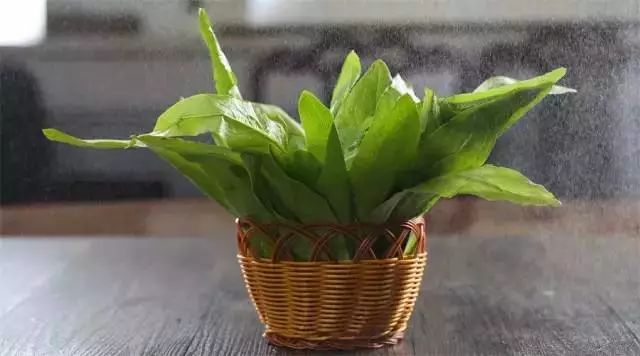 东阿阿胶春季养生打卡季,东阿阿胶冬令滋补季隆重启幕