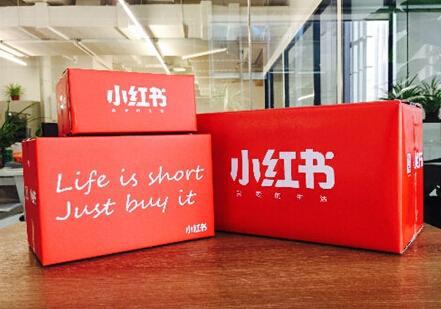 小红书哪种领域最容易火,小红书到底靠什么火