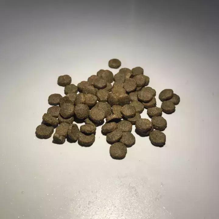 伯纳天纯蓝氏评测,伯纳天纯评测