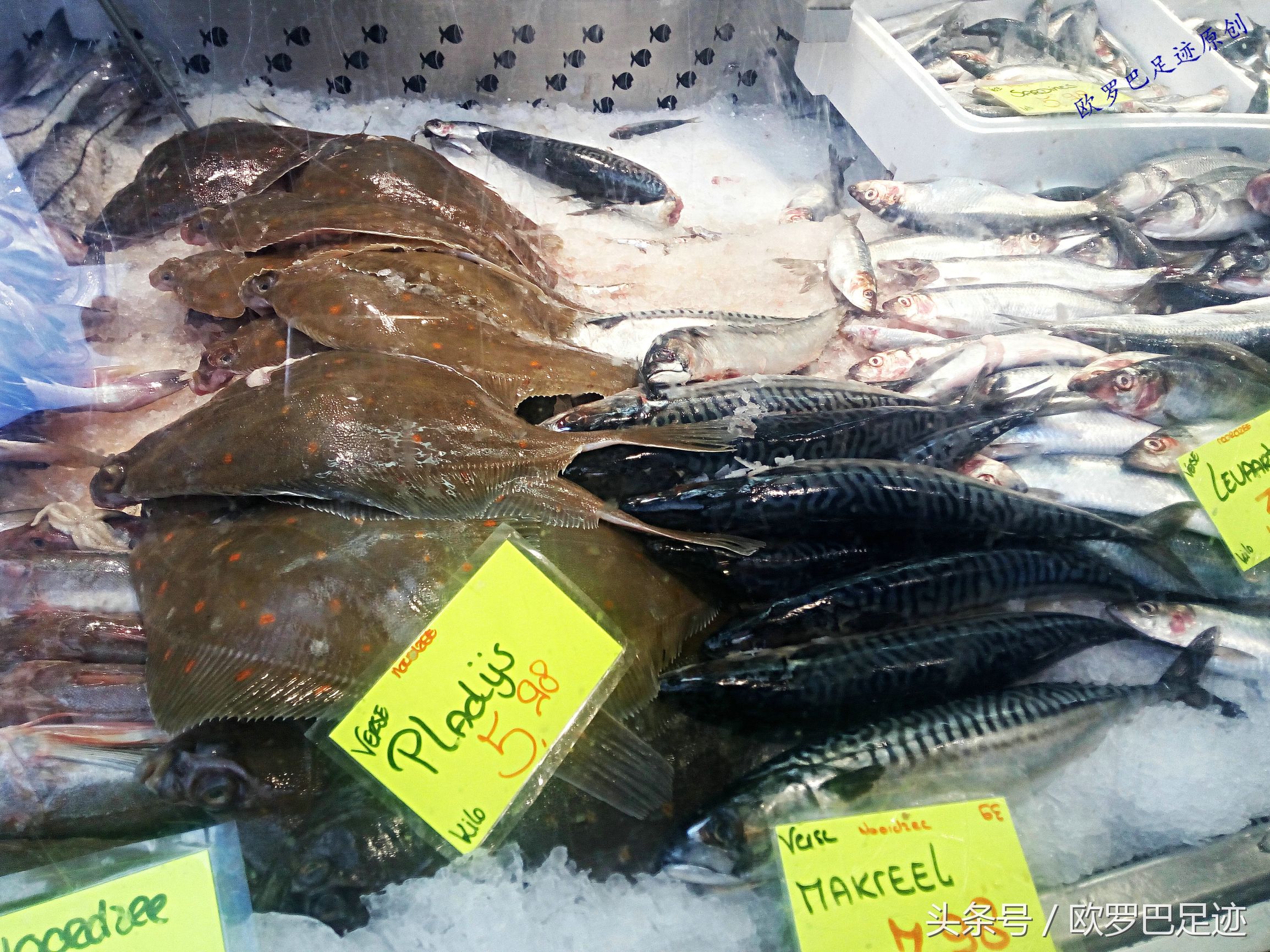 中国厨子邂逅欧洲小镇海鲜市，不认识的鱼炖起来也不手软