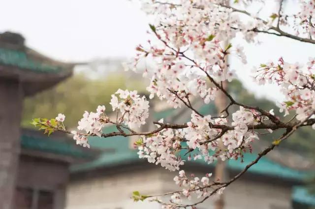 北京到香港高铁深度体验,北京到香港高铁什么时候开通