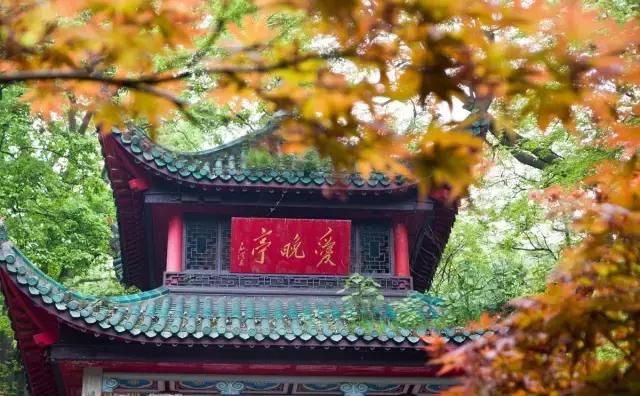 北京到香港高铁深度体验,北京到香港高铁什么时候开通