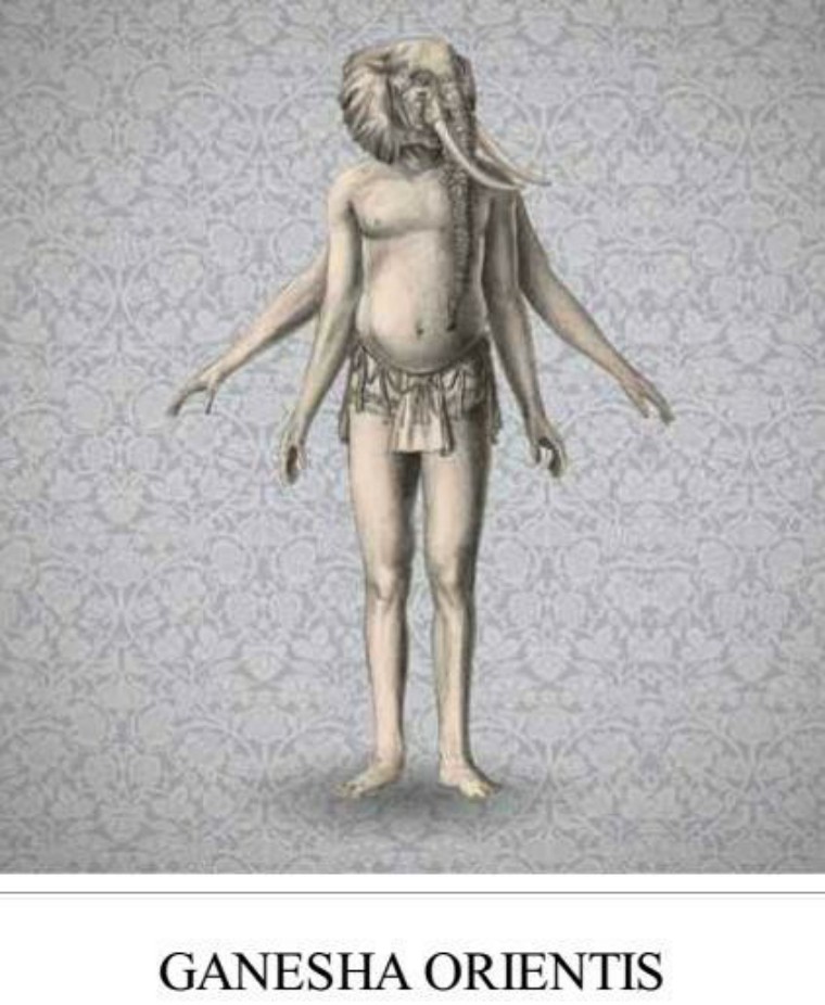 关于解剖美人鱼的电影解说,解剖美人鱼告捷视频