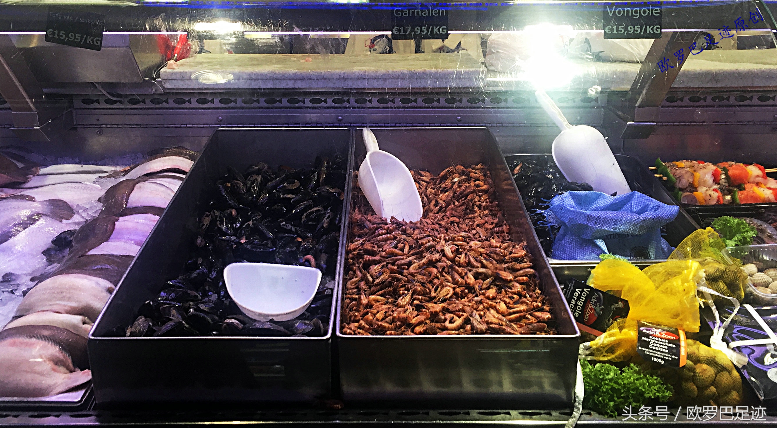 中国厨子邂逅欧洲小镇海鲜市，不认识的鱼炖起来也不手软