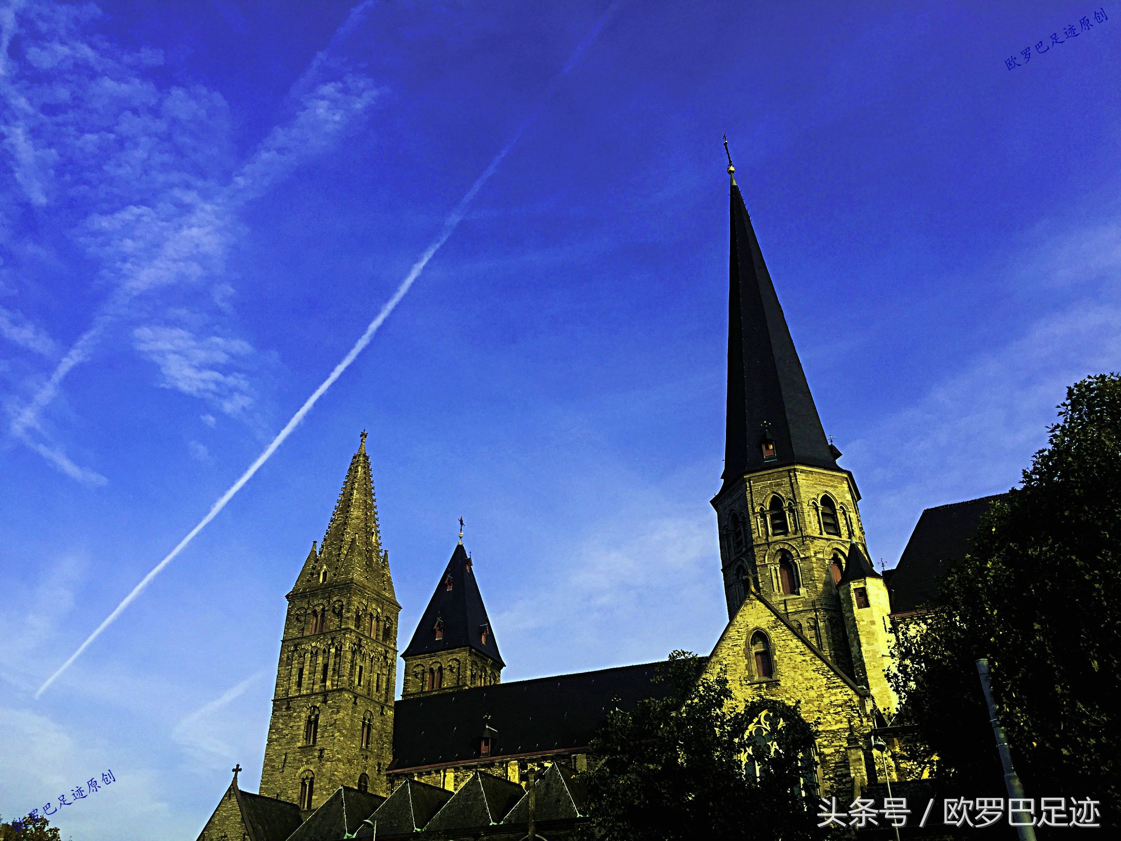 中国厨子邂逅欧洲小镇海鲜市，不认识的鱼炖起来也不手软