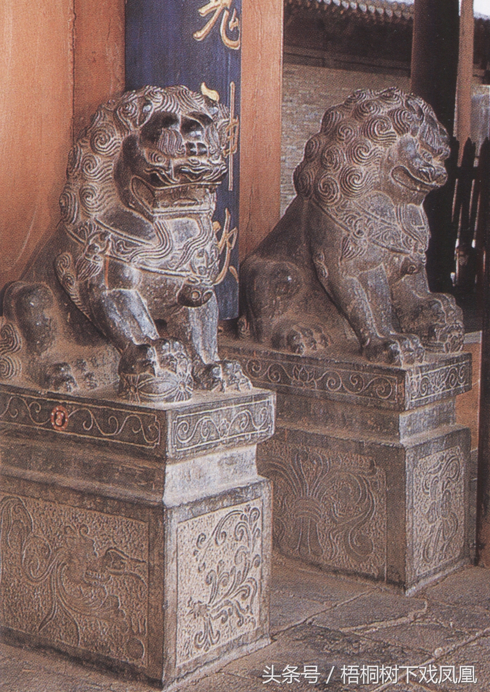 墓摆石狮子与家摆区别,石狮摆放门口惹众怒