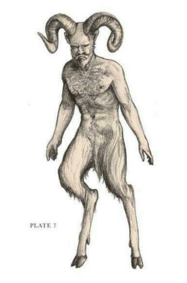 关于解剖美人鱼的电影解说,解剖美人鱼告捷视频