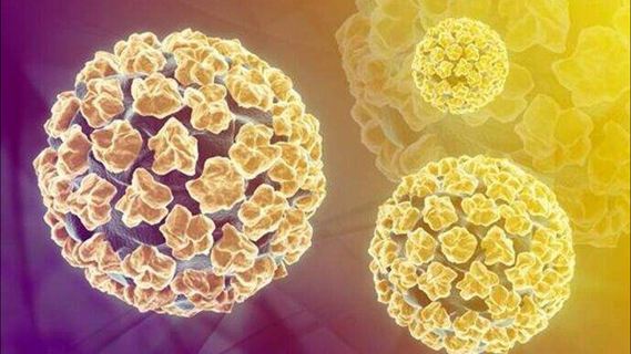 男性有尖锐性湿疣能够打hpv疫苗嘛,男性打宫颈癌疫苗好处