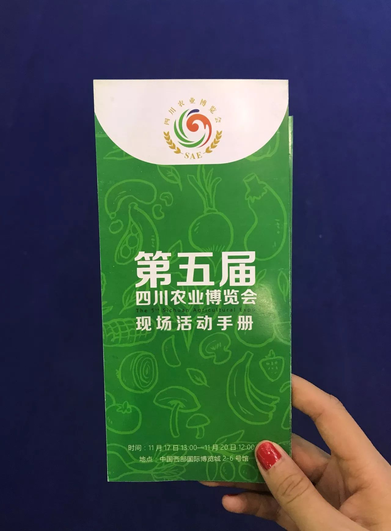 田田深入2017四川农博会，逛一圈，胖5斤！