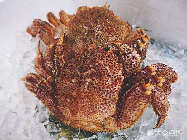 表白被拒的心，只有这家的海鲜刺身能够治愈