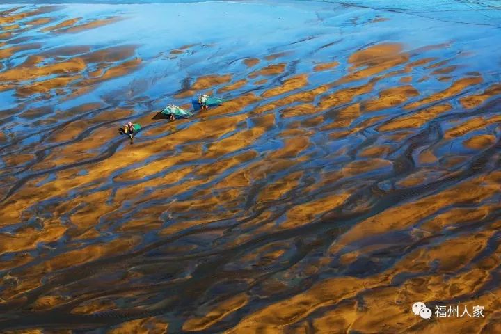 福建省最富10个县市排行榜,福建最好的城市排行榜