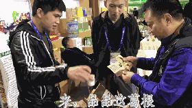 田田深入2017四川农博会，逛一圈，胖5斤！