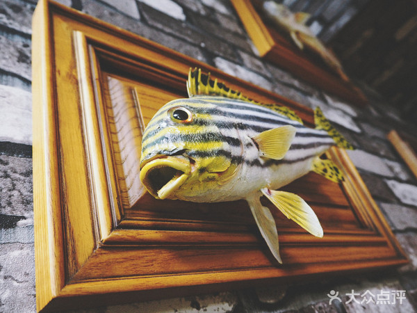 表白被拒的心，只有这家的海鲜刺身能够治愈