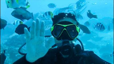 太平洋海洋馆和北京海洋馆哪个好,北京海洋馆和上海海昌海洋馆