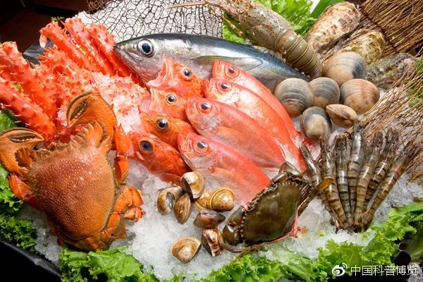 辟谣：术后忌口？别再被“发物”吓到了