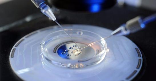 女性一辈子能够捐几次卵子,捐卵子3次