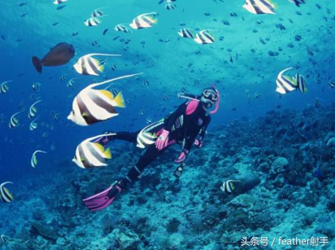 太平洋海洋馆和北京海洋馆哪个好,北京海洋馆和上海海昌海洋馆