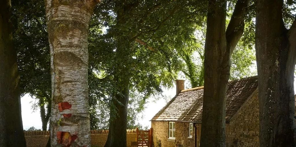 品质好酒店,好酒店排行榜前十名