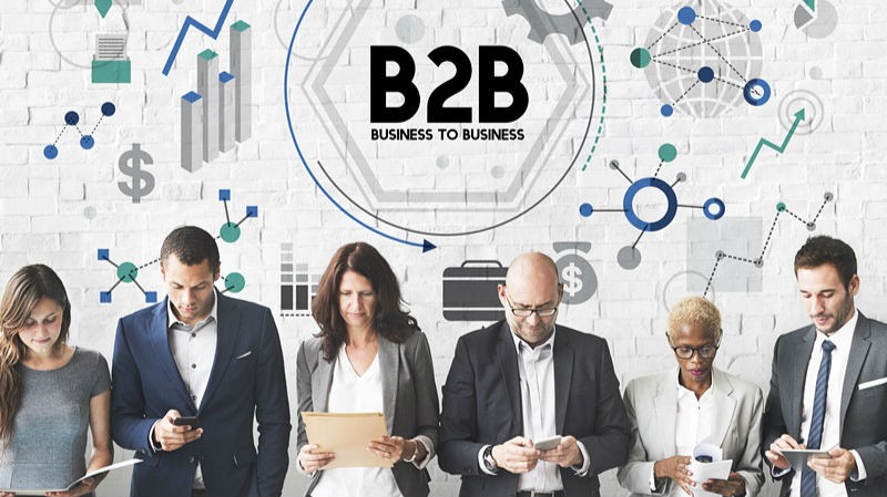 b2b电商平台组织结构如何发展,垂直b2b电商的主要业务模式