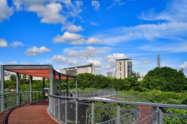 深圳十大打工美女排名表,深圳第一美女简历