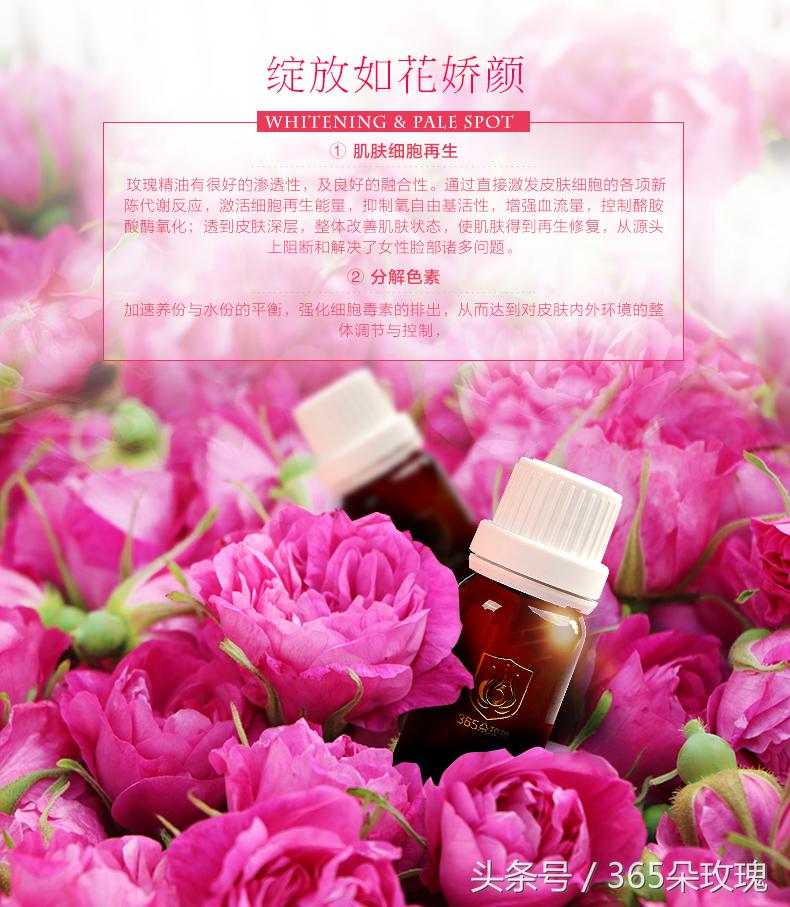 玫瑰花茶能够泡出精油吗女生,玫瑰花茶真的能泡出玫瑰精油吗