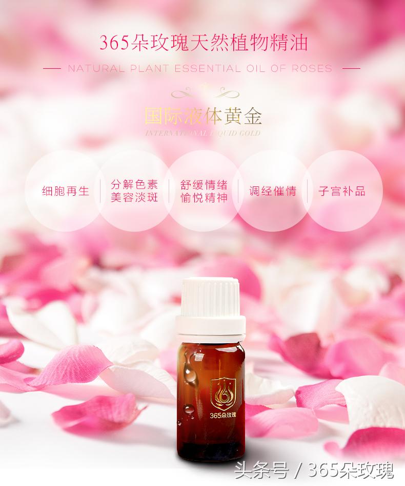 玫瑰花茶能够泡出精油吗女生,玫瑰花茶真的能泡出玫瑰精油吗