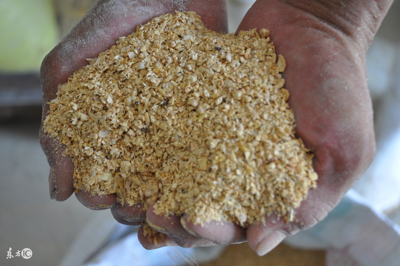 养猪场的母猪比例是多少,你对工厂的设备设施了解多少