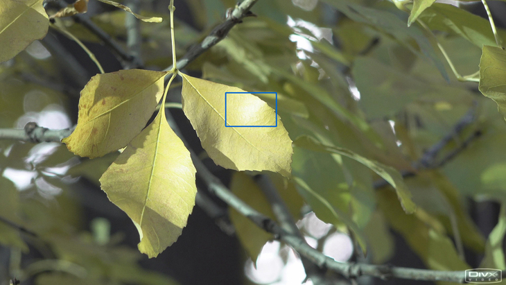 可拍4KHDR视频的手持摄像机1英寸CMOS索尼FDR-AX700摄像机评测