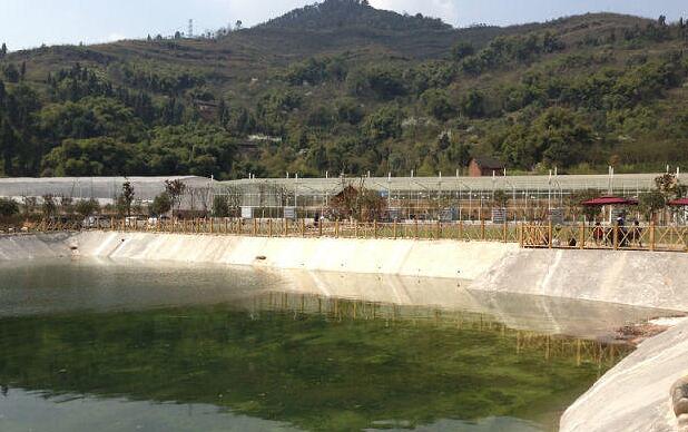 重庆高山避暑垂钓,周末自驾烧烤好去处