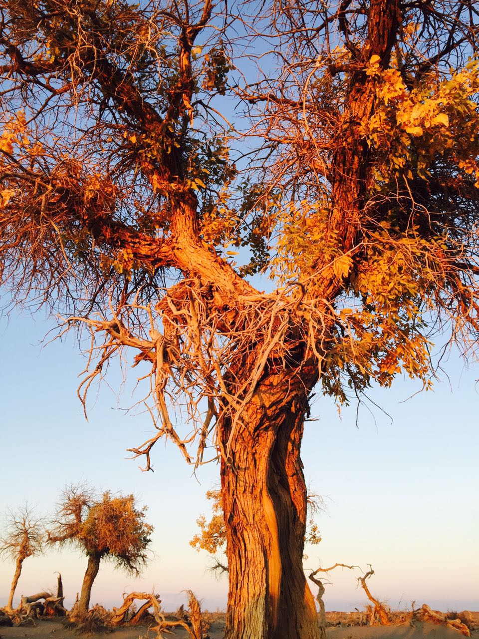 手拍世界作品交流平台,手拍世界摄影网站