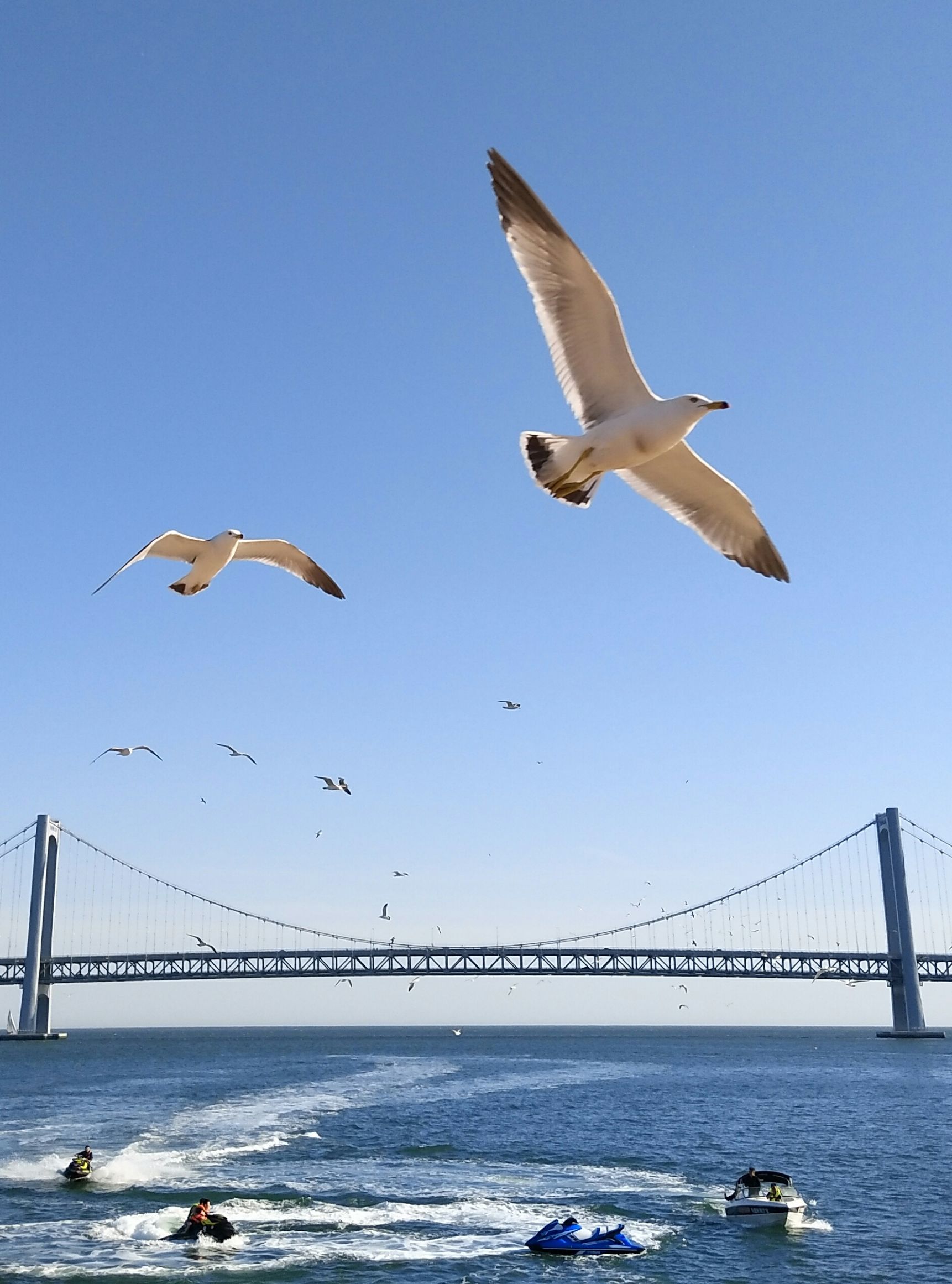 手拍世界作品交流平台,手拍世界摄影网站