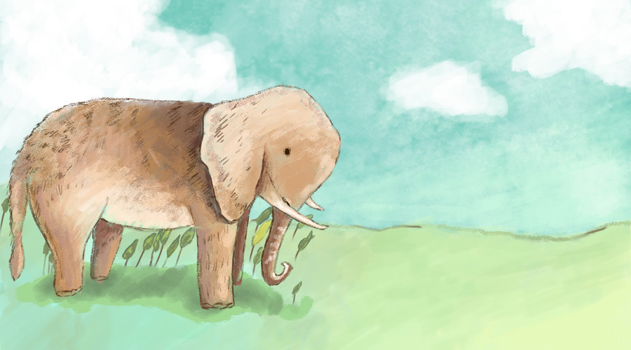 一直在减肥从来未告捷,一直在减肥却从来没减过一斤八两