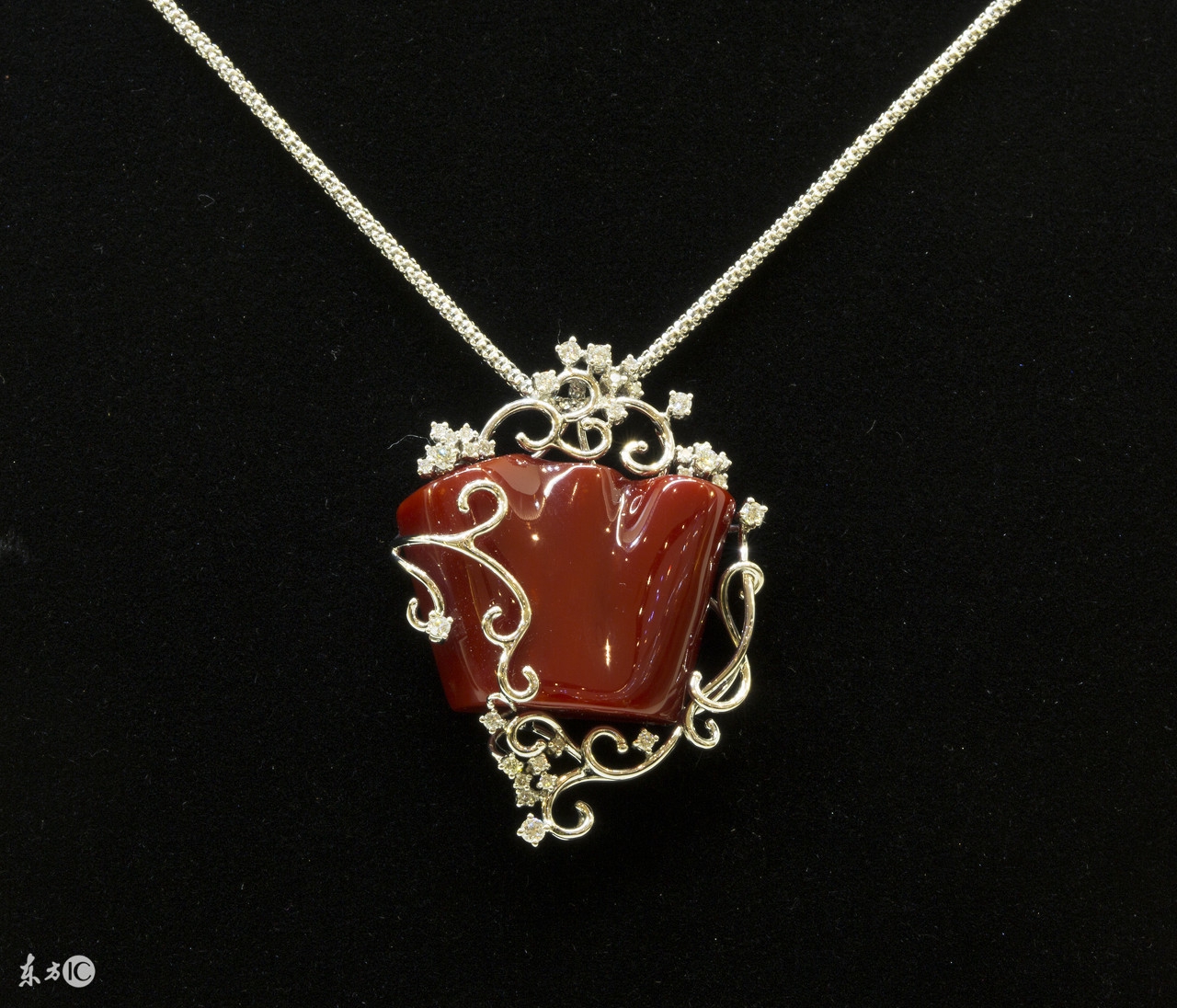 最真实的红珊瑚,这才是真正的红珊瑚