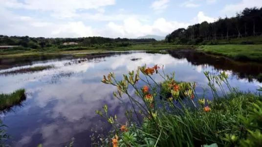 聆听｜吴喜彬：《宿命里的河》——诵读：以琳