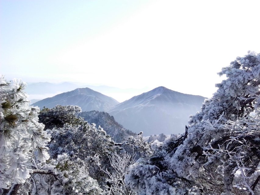 涔濆崕灞辨父鐜╄矾绾挎敾鐣ユ渶鏂扮増,涔濆崕灞辨櫙鍖哄ぇ宸磋溅鏀荤暐
