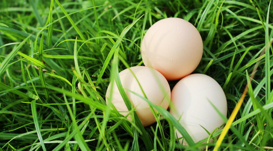 一直在减肥从来未告捷,一直在减肥却从来没减过一斤八两