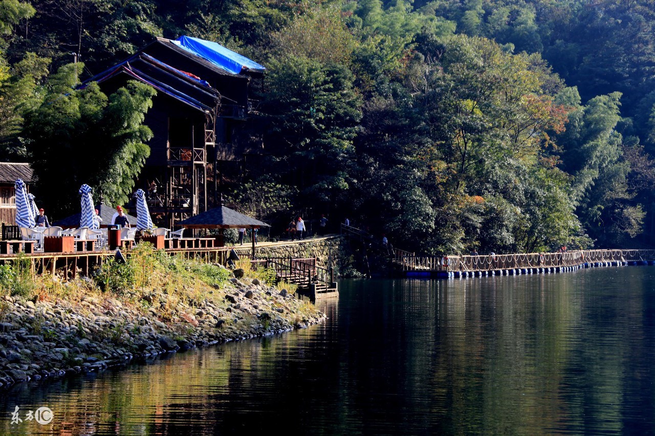 移植肾肌酐升高注意哪些会降,多替拉韦导致肌酐升高会降吗