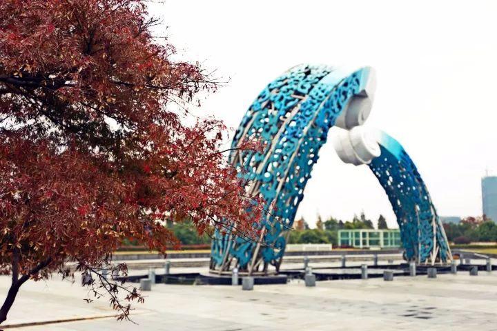 你越黄，我越喜欢！凛冬将至，这是最后一波西太湖的秋景