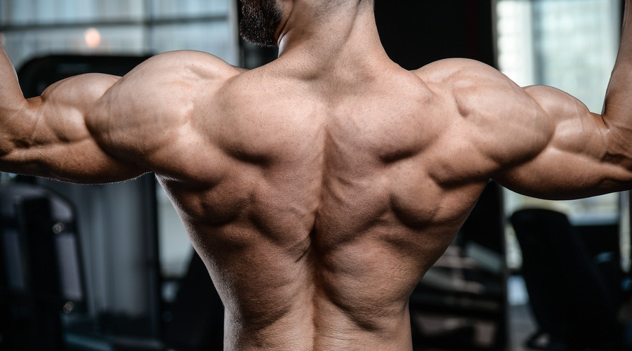 一直在减肥从来未告捷,一直在减肥却从来没减过一斤八两