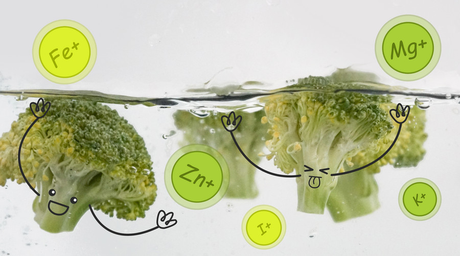 一直在减肥从来未告捷,一直在减肥却从来没减过一斤八两