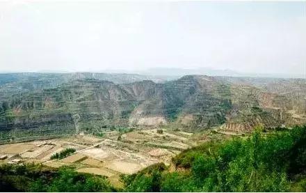 大宁威风锣鼓队,大宁闹十五威风锣鼓