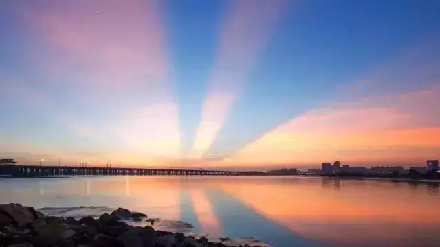 深圳十大打工美女排名表,深圳第一美女简历