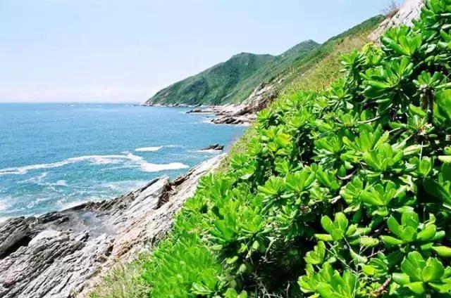 深圳十大打工美女排名表,深圳第一美女简历