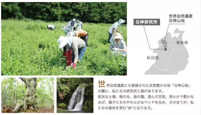 奥尔滨albion水乳,ALBION澳尔滨健康水