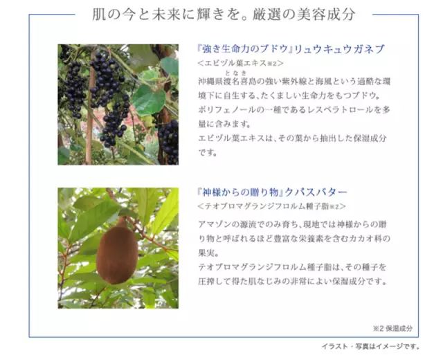 奥尔滨albion水乳,ALBION澳尔滨健康水